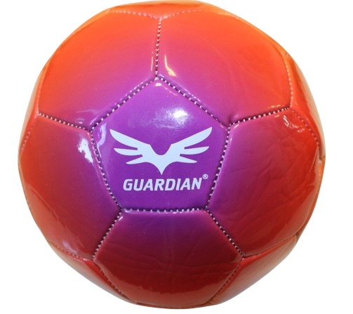 Guardian Rainbow fodbold str. 4